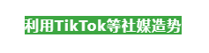 单日近2万单成为TikTok销售新宠，夺得头筹！