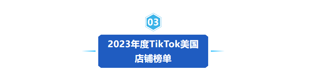《2024年TikTok电商白皮书》重磅发布！