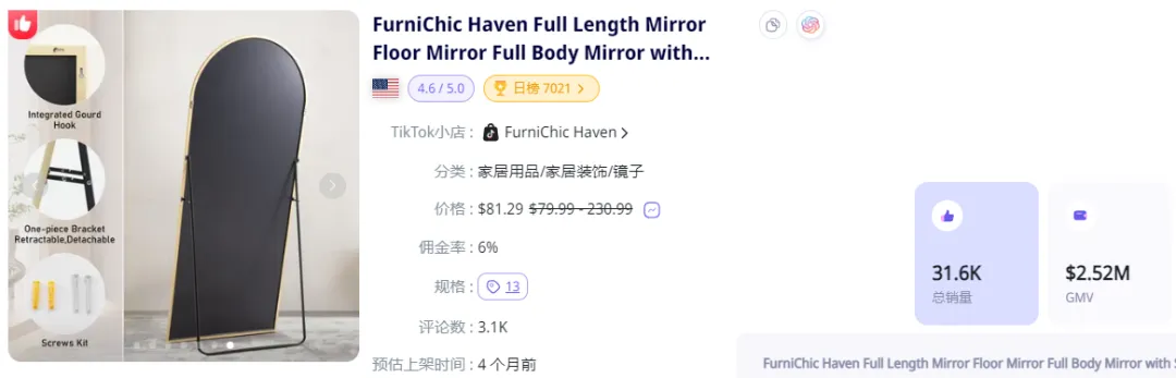 FurniChic Haven：TikTok家居用品GMV突破150万美元，全身镜成为网红抢购对象？